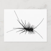 House Centipede Black Scary Bug Insect Gross Large Briefkaart (Voorkant)