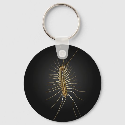 House Centipede Scutigera Coleoptrata Sleutelhanger (Voorkant)