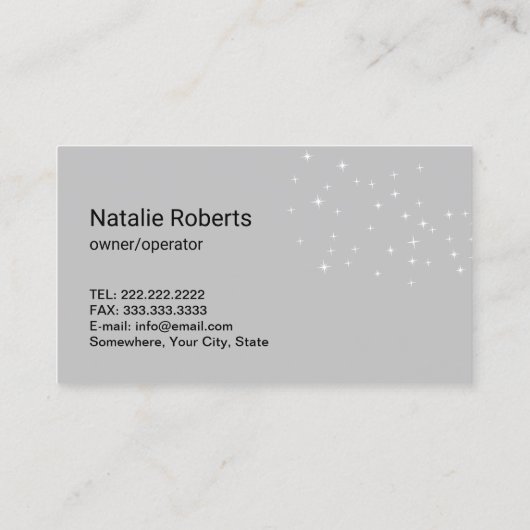 House Cleaning Maid Feather Duster Housekeeping Visitekaartje (Achterkant)