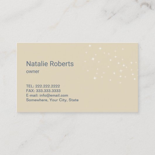 House Cleaning Service  Blue Floral Ivory Visitekaartje (Achterkant)