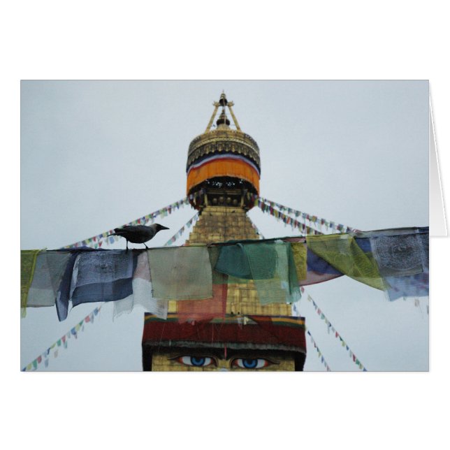 House Crow at Prayers Bodha Stupa, Nepal (Voorkant Horizontaal)