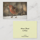 House Finch ATC Visitekaartje (Voorkant / Achterkant)