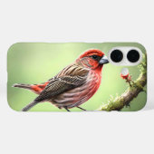 HOUSE FINCH BIRD AVIAN BACKYARD Case-Mate iPhone CASE (Achterkant (horizontaal))
