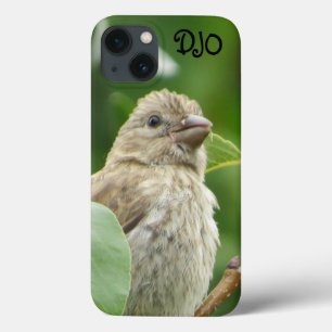 House Finch Bird Personalized Case-Mate iPhone Case