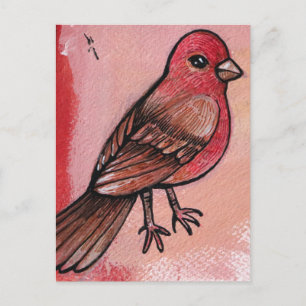 House Finch Briefkaart