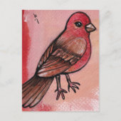 House Finch Briefkaart (Voorkant)