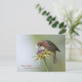 House Finch Briefkaart (Staand voorkant)