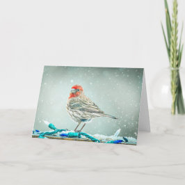 House Finch Christmas Card Feestdagen Kaart