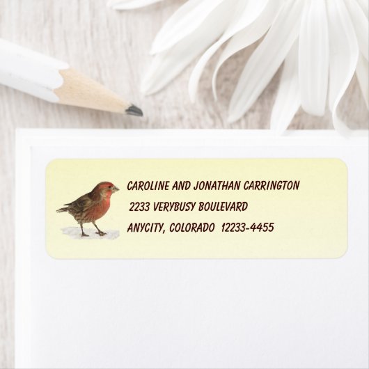 House Finch Etiket (Insitu)