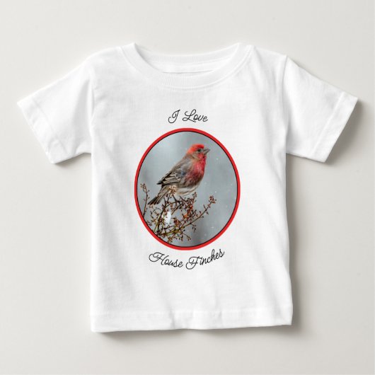 House Finch in Snow - Originele foto (Voorkant)