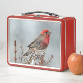 House Finch in Snow - Originele foto (In situ)