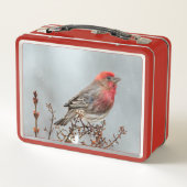 House Finch in Snow - Originele foto (Achterkant)