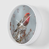 House Finch in Snow - Originele foto (Hoek)