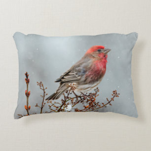 House Finch in Snow - Originele foto Accent Kussen