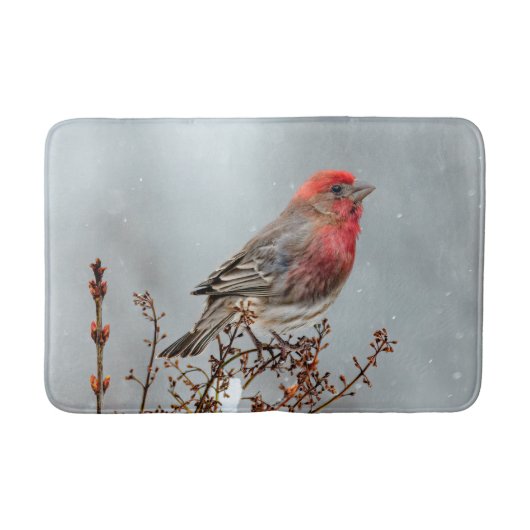 House Finch in Snow - Originele foto Badmat (Voorkant)