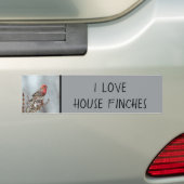 House Finch in Snow - Originele foto Bumpersticker (Op auto)