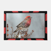House Finch in Snow - Originele foto Deurmat (Voorkant)