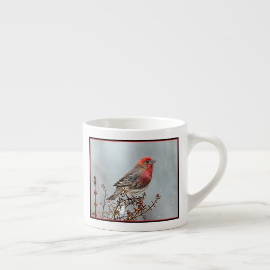 House Finch in Snow - Originele foto Espresso Kop (Rechts)