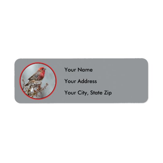 House Finch in Snow - Originele foto Etiket (Voorkant)