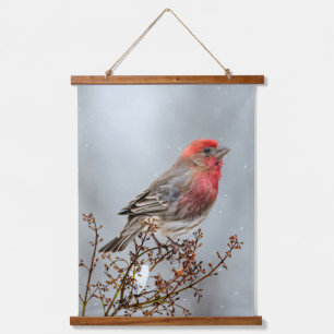 House Finch in Snow - Originele foto Hangend Wandkleed
