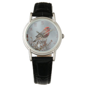 House Finch in Snow - Originele foto Horloge