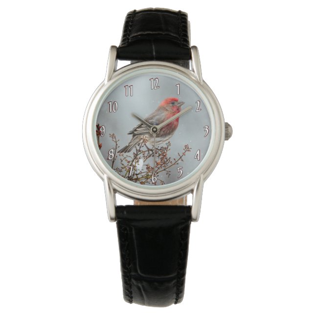 House Finch in Snow - Originele foto Horloge (Voorkant)