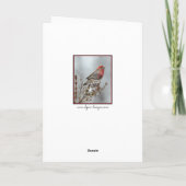 House Finch in Snow - Originele foto Kaart (Achterkant)