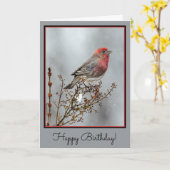 House Finch in Snow - Originele foto Kaart (Gele Bloem)