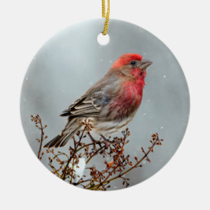 House Finch in Snow - Originele foto Keramisch Ornament