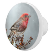 House Finch in Snow - Originele foto Keramische Knop (Rechts)
