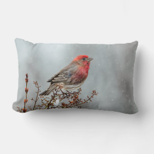 House Finch in Snow - Originele foto Kussen