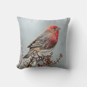 House Finch in Snow - Originele foto Kussen