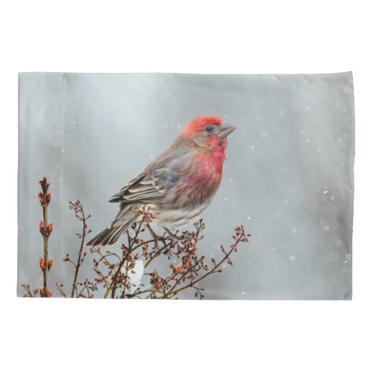 House Finch in Snow - Originele foto Kussensloop (Achterkant)