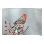 House Finch in Snow - Originele foto Kussensloop (Voorkant)