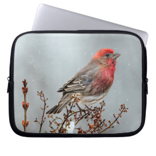 House Finch in Snow - Originele foto Laptop Sleeve