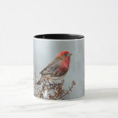 House Finch in Snow - Originele foto Mok (Midden)