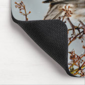 House Finch in Snow - Originele foto Muismat (Hoek)