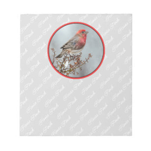 House Finch in Snow - Originele foto Notitieblok