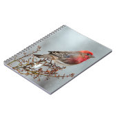 House Finch in Snow - Originele foto Notitieboek (Linkerzijde)
