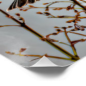 House Finch in Snow - Originele foto Perfect Poster (Hoek)