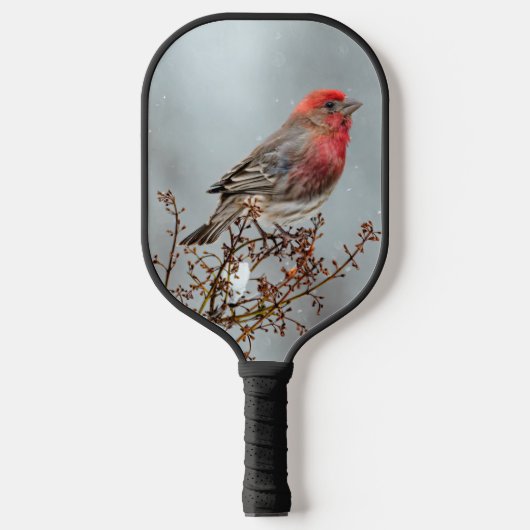 House Finch in Snow - Originele foto Pickleball Paddle (Voorkant)