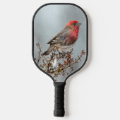 House Finch in Snow - Originele foto Pickleball Paddle (Achterkant)
