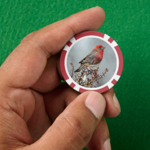 House Finch in Snow - Originele foto Poker Chips