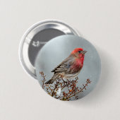 House Finch in Snow - Originele foto Ronde Button 5,7 Cm (Voorkant /achterkant)