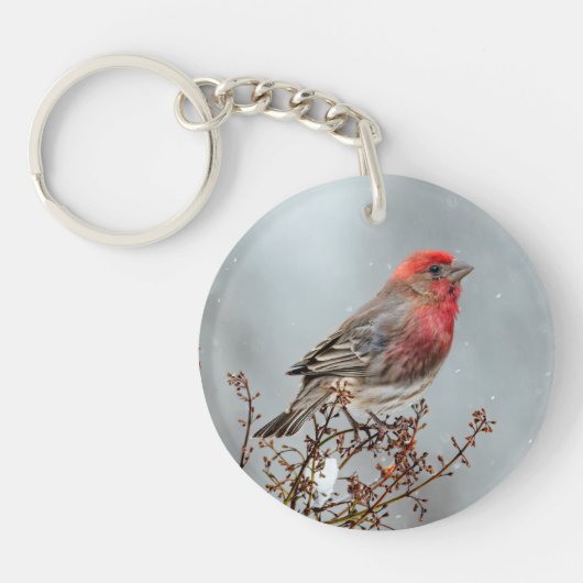 House Finch in Snow - Originele foto Sleutelhanger (Voorkant)