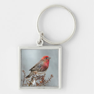 House Finch in Snow - Originele foto Sleutelhanger