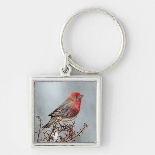 House Finch in Snow - Originele foto Sleutelhanger (Voorkant)