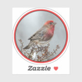 House Finch in Snow - Originele foto Sticker (Vel)
