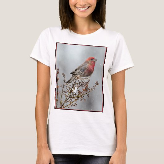 House Finch in Snow - Originele foto T-shirt (Voorkant)