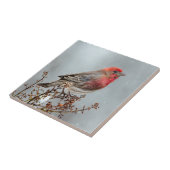 House Finch in Snow - Originele foto Tegeltje (Zijkant)